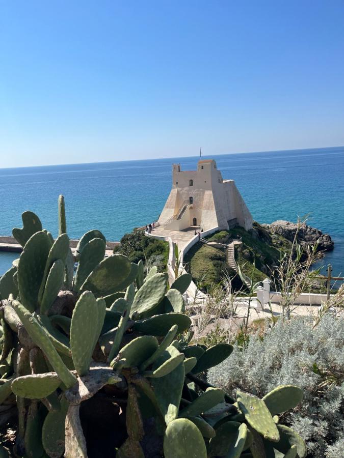 La Conchiglia Ξενοδοχείο Sperlonga Εξωτερικό φωτογραφία